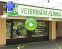 Pļavnieki, veterinary clinic video